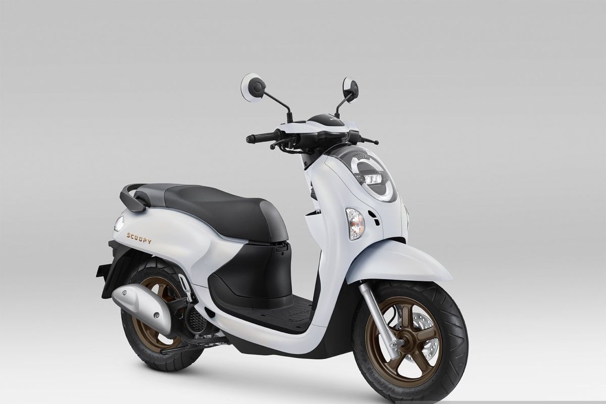 Scoopy Prestige White